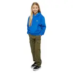 Брюки карго Dickies Millerville, зеленый - фото 5