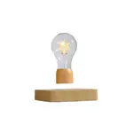 Атмосферные огни Magic Magnetism - фото