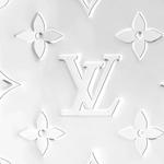 Тонкий бумажник Monogram Mirror LOUIS VUITTON, Gift Set(Set+Box+Shopping Bag) - фото 5