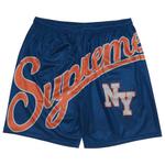 Шорты Supreme Big Script Mesh Short, синий - фото