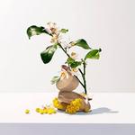 Roger & Gallet Neroli Eau Fresh 100 мл — новинка, Roger&Gallet - фото 3