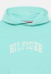 Худи Tommy Hilfiger MIXED GRAPHIC HOODIE UNISEX, Menthol/Mint - фото 4