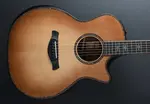 Taylor-guitars Builder's Edition 914CE - фото