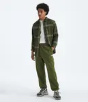 Мужские брюки Evolution Simple Dome The North Face, Woodland Green - фото 2