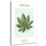 Картина арт-принт KUNSTLOFT Green Leaf #7, зеленый - фото