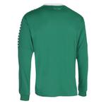 Джерси с длинным рукавом Select Argentina - фото 2