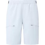 Спортивные шорты мужские HELLY HANSEN, синий - фото