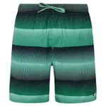 Шорты для плавания Protest Radar, зеленый - фото