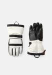 Перчатки The North Face MONTANA SKI GLOVE, White Dune/Off-White - фото