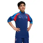 Толстовка Puma Neymar Jr Playmaker half zip, синий - фото