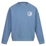 Флис Regatta Nithdale, синий - фото 3