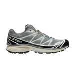 Кроссовки XT-6 Advanced Salomon, серый - фото