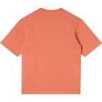 Футболка Stan Ray Patch Pocket Stan Ray, Washed Red Heather - фото 4