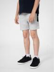 Спортивные шорты стандартного кроя 4F, серый - фото