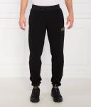 Спортивные штаны мужские Ea7 на кулиске, черный - фото