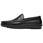 Туфли Men"s Casual Men Low-Top черный Roberta Di Camerino - фото