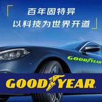 Goodyear Шины 255/60R19 Eagle Touring - фото 3