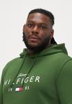 Худи Tommy Hilfiger HOODY, Mountain Pine/Khaki - фото 4