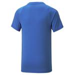 Футболка Puma Boys' T-Shirt EVOSTRIPE Tee B 673187 - фото 2