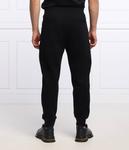 Штаны спортивные Emporio Armani Regular Fit, синий / белый - фото 4