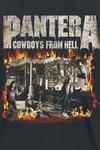 Футболка Cowboys From Hell - Fire Frame от Pantera - фото 3