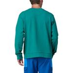 Свитшот мужской Patagonia, серый - фото 12