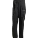 Брюки Terrex Xploric Cargo Adidas, черный - фото