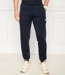 Спортивные брюки EA7 Regular Fit, темно-синий - фото 3