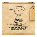 COACH Сумка Чарли с арахисом - фото 4