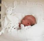 Мягкая игрушка EFFIKI Doudou РОЗОВЫЙ - фото 3