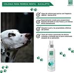 Men For San Colony Water For Мята-Эвкалипт 125мл Men For San - фото 5