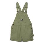 Спортивные шорты (WMNS) Vans Ground Work Shortalls 'Green', зеленый - фото