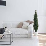 Декоративное растение hjh OFFICE CEDRUS, зеленый - фото 3