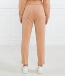 Брюки спортивные женские Armani Exchange с принтом, коричневый - фото 4