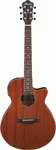 Акустическая гитара Ibanez AEG220 Natural Low Gloss - фото