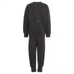 Джоггеры adidas Star Wars Z.N.E, черный - фото 2