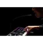 Синтезатор и вокодер KORG microKORG 2 - фото 12