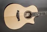Taylor 914CE Лимитед - фото
