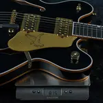 Gretsch Professional Falcon Center Block DoubleCut Midnight Sapphire JT25051476 - фото 6