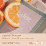 Фиолетовый шампунь Violet Hour dae, 10 oz /300 mL - фото 9