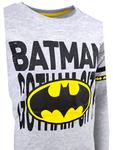Лонгслив 'Batman' в сером цвете - фото 3