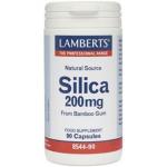 Кремнезем 200 мг 90 капсул, Lamberts - фото