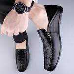 Gommino Лоферы Мужские British Knights, черный - фото 16