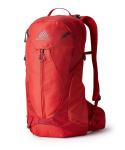 Рюкзак GREGORY Mico 15 15L, цвет Smack Red - фото