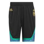 Шорты профессиональные блочные шорты Adidas, черный - фото