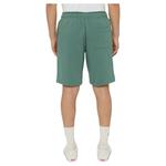 Шорты Dickies Mapleton, зеленый - фото 2