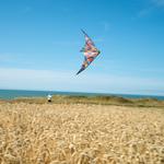 Стант-кайт Feel'R 160 Orao - фото 17