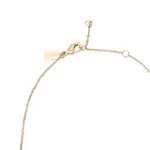 COACH Золотое ожерелье для женщин - фото 6