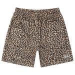 Шорты Stussy Basic Mesh Short, Leopard - фото