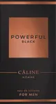 Туалетная вода HOMME Powerful Black 60 мл CÂLINE - фото 2